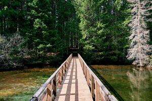 Wooden pedestrian bridge with handrails across a lake to a forested shore photo