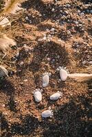 Footprints in the sand made of pebbles in sunlight photo