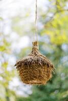 Straw nest with a roof hanging on a rope on a tree branch in the park photo