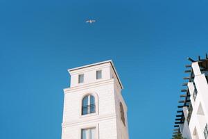 Albatross flies in the blue sky above a tall white building photo