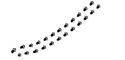 Gentle trail of bunny footprints marks a playful journey across soft snow at dawn in a serene winter wonderland vector
