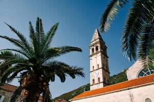 View through green palm branches to the high bell tower of the Church of St. Nicholas. Perast, Montenegro photo