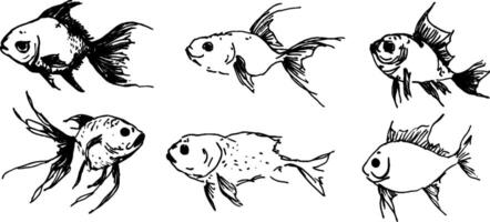 Hand-Drawn Goldfish Illustrations vector