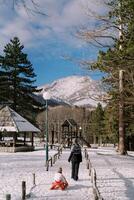 Mom carries a small child on a sled along a snowy path in the park to the playground. Back view photo