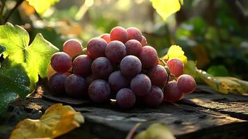 Luscious grape cluster sits on aged wood under dappled sunlight creating an inviting still life image photo