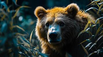 Close-up of a magnificent brown bear partially hidden among verdant vegetation its eyes conveying calm strength photo