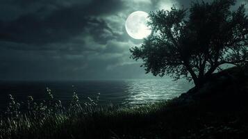 Serene Moonlit Seascape Tree silhouette against a full moon and calm ocean creating a peaceful nocturnal ambiance photo