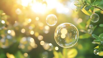 Sunlit bubbles float among green leaves creating a whimsical and dreamlike atmosphere filled with light and color photo