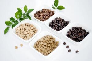Various stages of coffee beans roasting process displayed in a minimalist tabletop setting on white. photo