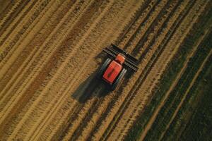 An orange tractor harvests a golden wheat field from above, creating beautiful rows of cut grain. photo