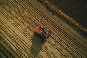 Aerial view of a red combine efficiently harvests a golden wheat field during the autumn season. photo