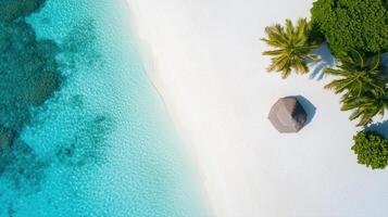 Aerial view of a pristine white sand beach meeting turquoise waters, dotted with palm trees and sunshade. photo