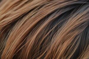 A captivating close-up reveals the rich tones and textures of layered, brunette hair with subtle highlights. photo