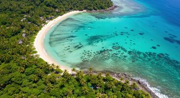 Discover a pristine tropical beach with vibrant turquoise waters and lush palm trees, a tranquil island escape. photo