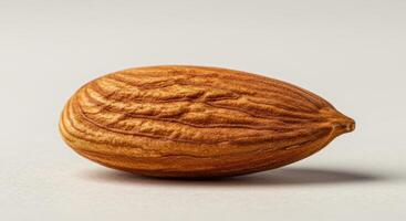 Close-up of a single, natural almond, highlighting its intricate texture and nutritious value. photo