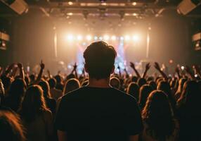 A silhouette of a man at a vibrant concert with a cheering crowd photo
