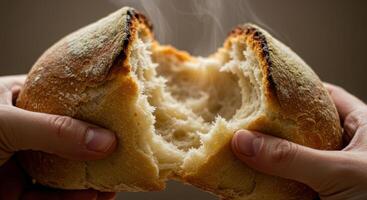 A loaf of rustic, freshly baked bread is being torn open, releasing fragrant steam. photo