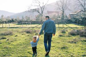 Little girl walks through a green pasture holding her dad hand and turning her head to the side. Back view photo