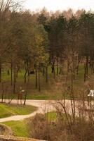 Green park with paths and partly green trees,beginning of the spring photo