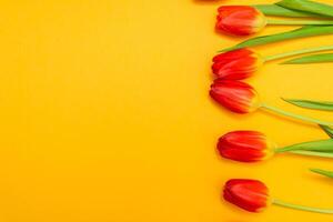 Red tulips flowers with green stems on a vibrant yellow background, arranged in a horizontal line, spring concept photo