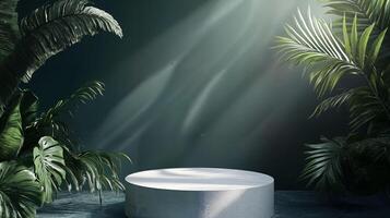Serene Tropical Scene with Greenery and Round Platform photo