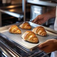 Freshly Baked Croissants on a Baking Tray in a Cozy Kitchen Setting photo