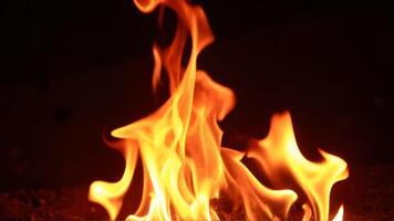Captivating Flames Dancing Against Darkness photo