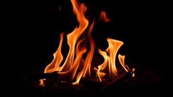 Dancing Flames Against a Dark Background Creating Warm Ambiance photo