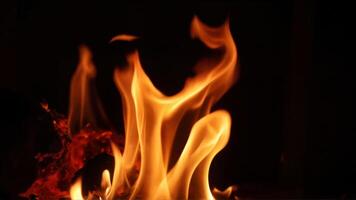 Captivating Flames Dancing in Darkness photo
