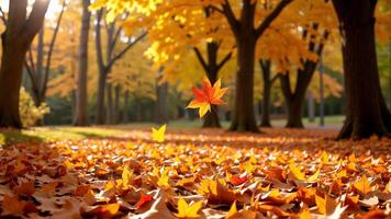 Vibrant Autumn Leaves Falling in a Serene Park photo