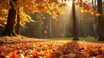 Golden Autumn Leaves Amidst Serene Forest Light photo