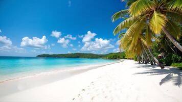 Tranquil Beach Scene with Palm Trees and Crystal Clear Waters photo