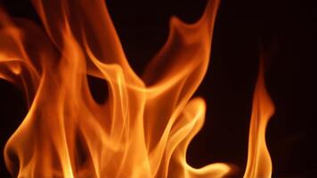 Dramatic fire Flames Dancing Against a Dark Background photo