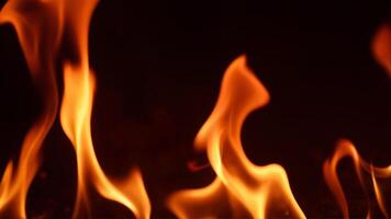Vibrant Flames Dancing Against a Dark Background photo