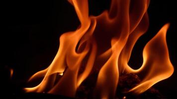 Dramatic Flames Dancing Against a Dark Background photo