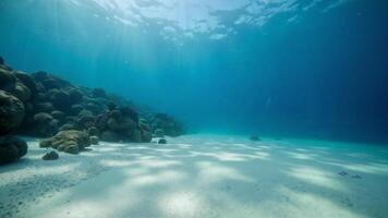 Serene Underwater Scene with Coral Reefs and Sunlight Filtering Through Water photo