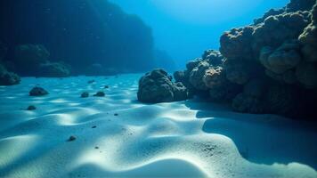 Underwater View of Coral Reefs and Sandy Seabed in Clear Water photo