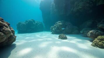 Underwater Paradise with Coral Reefs and Sunlight photo