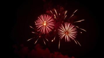 Vibrant Fireworks Display Lighting Up the Night Sky photo