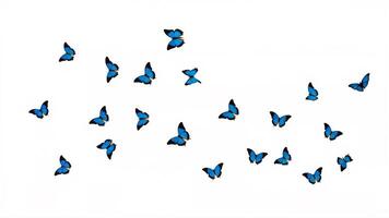 Elegant display of blue butterflies fluttering against a bright background photo