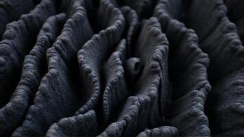 Textured Black Layers Creating an Abstract Appearance photo