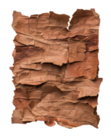 Detailed Close-Up of Textured Natural Bark Surface Showcasing Unique Patterns and Color Variations in Earthy Tones png