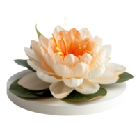 Delicate Water Lily Flower with Soft Petals and Vibrant Center on a Minimalist Display for Tranquil Decor and Wellness png