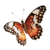 Beautiful butterfly with striking orange and black patterns soaring against a bright background in nature's tranquility png