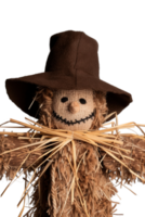 Scarecrow Made of Straw and Burlap with a Brown Hat and Smiling Face for Autumn Harvest Decoration and Farm Scene png