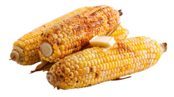 Freshly Grilled Corn on the Cob with Butter and Seasoning for Summer Barbecue or Cookout Food Photography png