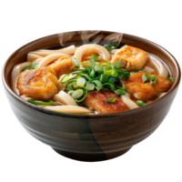 Bowl of hot udon noodles topped with crispy chicken and fresh green onions, steaming and deliciously inviting png
