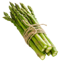 Fresh Green Asparagus Bundle Tied with Twine on White Background for Healthy Cooking and Culinary Use png