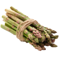 Freshly harvested green asparagus bound with twine, showcasing vibrant colors and unique textures on a white background png