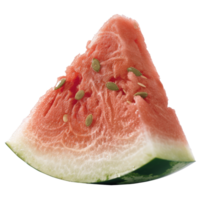 frisch und saftig Wassermelone Scheibe mit Saat auf Weiß Hintergrund, perfekt zum Sommer- und gesund Essen Konzepte png